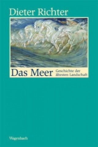 Kniha Das Meer Dieter Richter