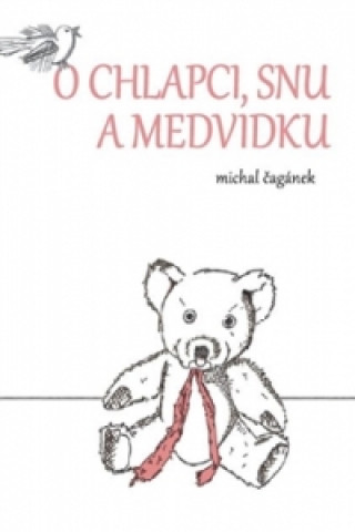 Könyv O chlapci, snu a medvídku Michal Čagánek