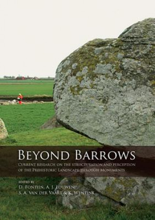 Kniha Beyond Barrows David R Fontijn