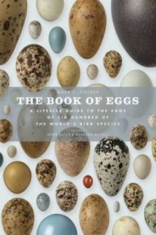 Könyv Book of Eggs Mark E Hauber
