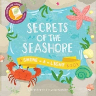 Kniha Secrets of the Seashore Carron Brown