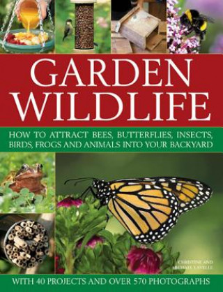 Carte Garden wildlife Christine Lavelle