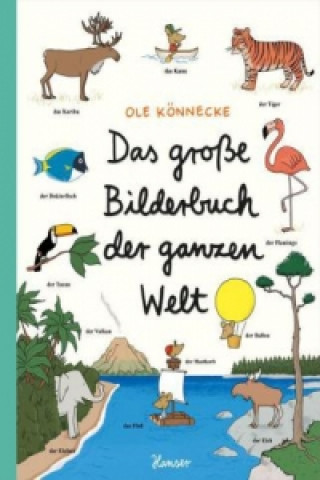 Könyv Das große Bilderbuch der ganzen Welt Ole Könnecke