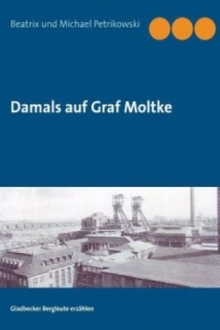 Kniha Damals auf Graf Moltke Beatrix Petrikowski