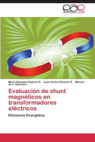 Книга Evaluacion de shunt magneticos en transformadores electricos Mario Salvador Esparza G.