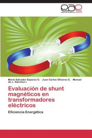 Βιβλίο Evaluacion de shunt magneticos en transformadores electricos Mario Salvador Esparza G.