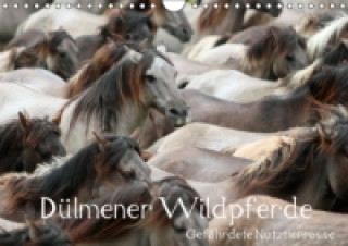 Naptár/Határidőnapló Dülmener Wildpferde - Gefährdete Nutztierrasse (Wandkalender immerwährend DIN A4 quer) Barbara Mielewczyk