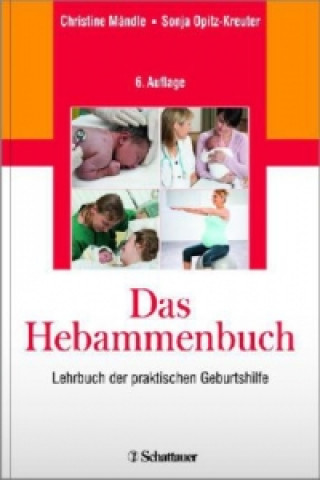 Kniha Das Hebammenbuch Christine Mändle