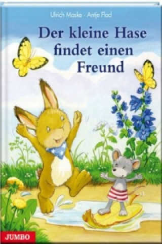 Kniha Der kleine Hase findet einen Freund Ulrich Maske