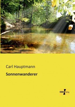 Buch Sonnenwanderer Carl Hauptmann