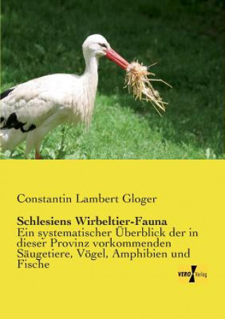 Carte Schlesiens Wirbeltier-Fauna Constantin Lambert Gloger