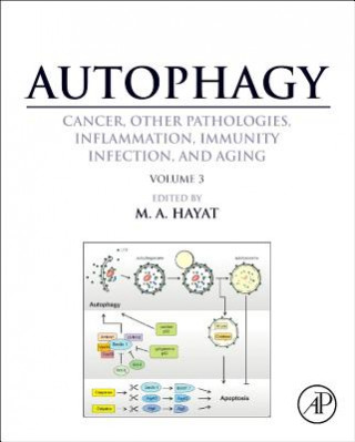 Könyv Autophagy: Cancer, Other Pathologies, Inflammation, Immunity M Hayat