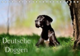 Kalendar/Rokovnik Deutsche Doggen / Geburtstagskalender (Tischkalender immerwährend DIN A5 quer) Nicole Noack