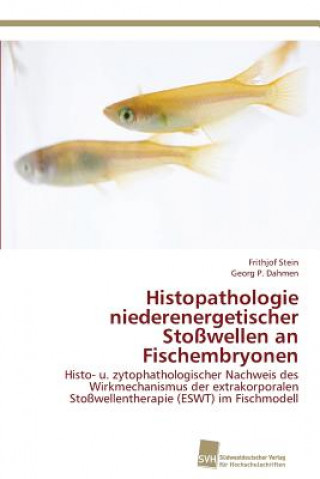 Kniha Histopathologie niederenergetischer Stosswellen an Fischembryonen Frithjof Stein