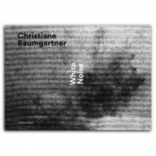 Книга CHRISTIANE BAUMGARTNER WHITE NOISE 