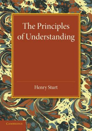 Książka Principles of Understanding Henry Sturt