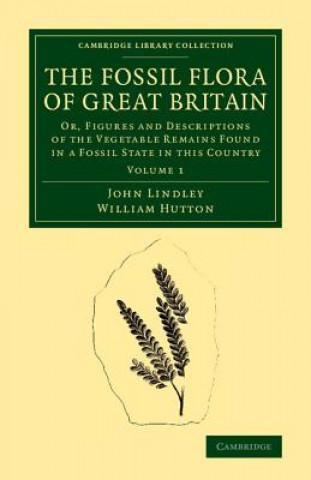 Książka Fossil Flora of Great Britain John Lindley