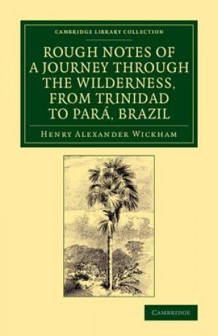 Könyv Rough Notes of a Journey through the Wilderness, from Trinidad to Para, Brazil Henry Alexander Wickham