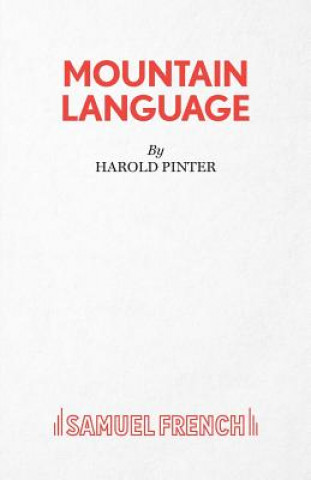 Buch Mountain Language Harold Pinter