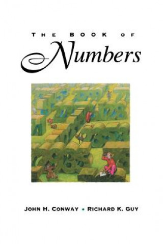 Könyv Book of Numbers John H Conway