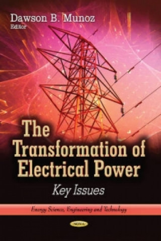 Könyv Transformation of Electrical Power Dawson B Munoz