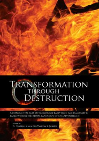 Könyv Transformation through Destruction David R Fontijn