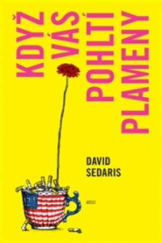 Book Když vás pohltí plameny David Sedaris