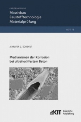 Carte Mechanismen der Korrosion bei ultrahochfestem Beton Jennifer Christine Scheydt