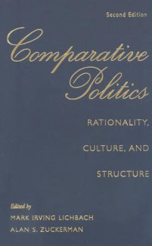 Kniha Comparative Politics Mark Irving Lichbach