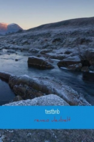 Knjiga testbnb remco ulenbelt