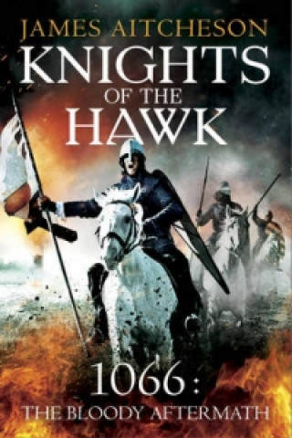 Книга Knights of the Hawk James Aitcheson