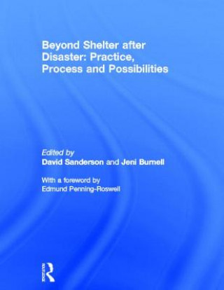 Kniha Beyond Shelter after Disaster: Practice, Process and Possibilities David Sanderson