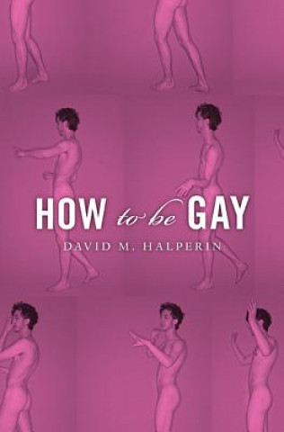 Carte How To Be Gay David M. Halperin