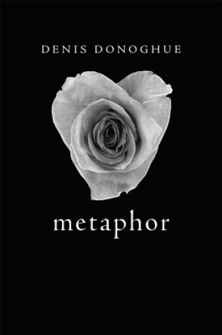 Könyv Metaphor Denis Donoghue