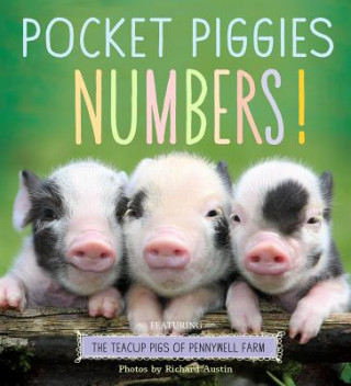 Könyv Pocket Piggies Numbers! Richard Austin