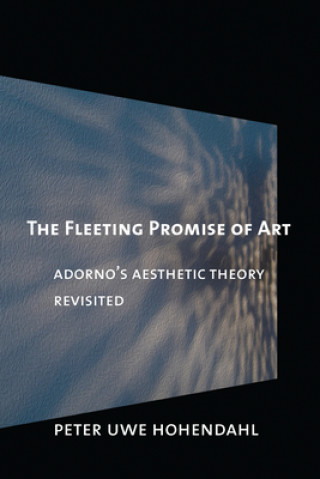 Carte Fleeting Promise of Art Peter Uwe Hohendahl