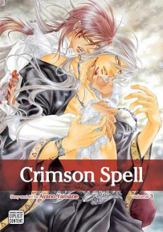 Książka Crimson Spell, Vol. 3 Ayano Yamane
