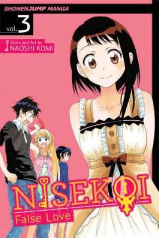 Kniha Nisekoi: False Love, Vol. 3 Naoshi Komi