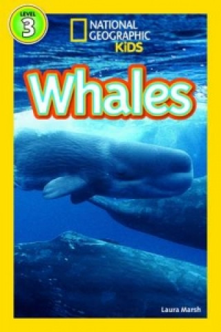 Книга National Geographic Kids Readers: Whales National Geographic Kids
