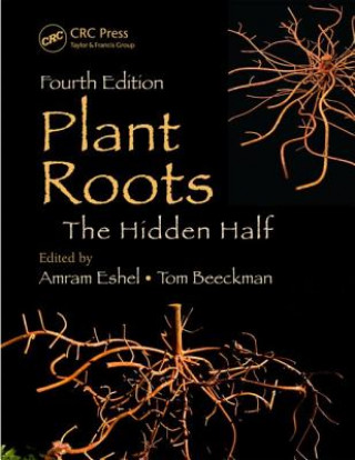 Kniha Plant Roots Amram Eshel