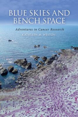 Carte Blue Skies and Bench Space Kathleen M Weston