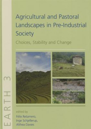 Könyv Agricultural and Pastoral Landscapes in Pre-Industrial Society Fčlix Retamero & Inge Schjellerup