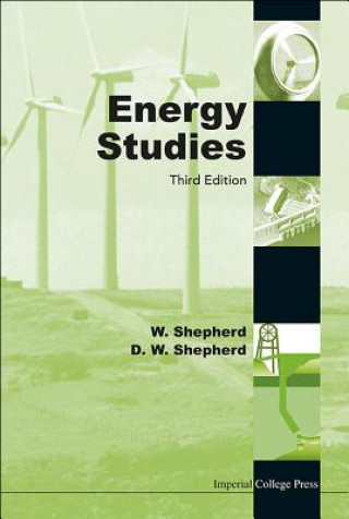 Kniha Energy Studies (3rd Edition) W Shepherd