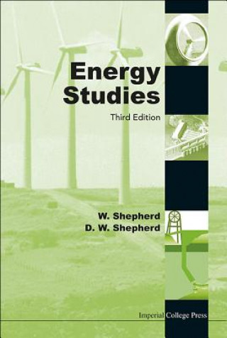 Knjiga Energy Studies (3rd Edition) W Shepherd