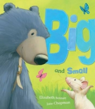 Book Big and Small Elizabeth Bennett