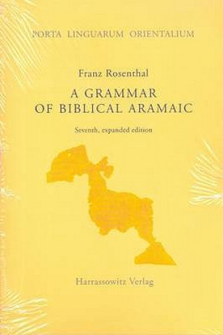 Kniha Grammar of Biblical Aramaic Franz Rosenthal