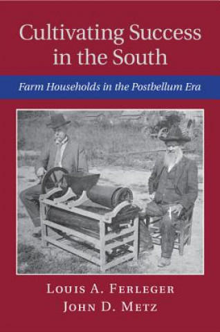 Книга Cultivating Success in the South Louis A. Ferleger
