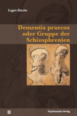 Kniha Dementia praecox oder Gruppe der Schizophrenien Eugen Bleuler