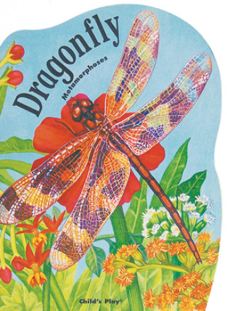 Buch Dragonfly Sue Baker