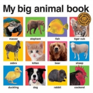 Carte My Big Animal Book Roger Priddy